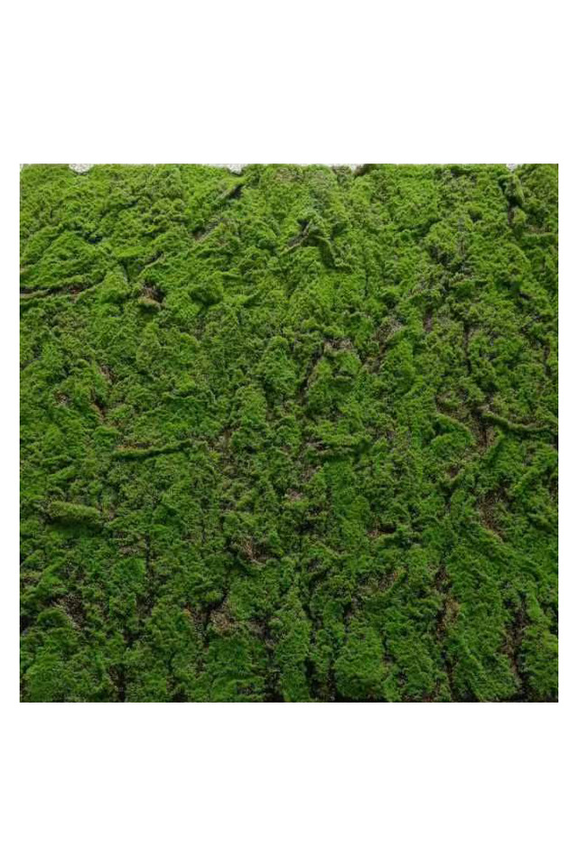 GGREENERY GGREENERIES GGREENERIE ARTIFICIAL ARTIFICIALS FLOWER FLOWERS PANEL PANELS WALL WALLS FLOWER PANEL FLOWER PANELS FLOWER WALL FLOWER WALLS GREEN GREENS LEAF LEAFS LEAVES LEAFE LEAVE GREENERY GREENERIES GREENERIE MOSS MOSSES MOS LUSH LUSHES PREMIUM PREMIA Mid Green green mid  