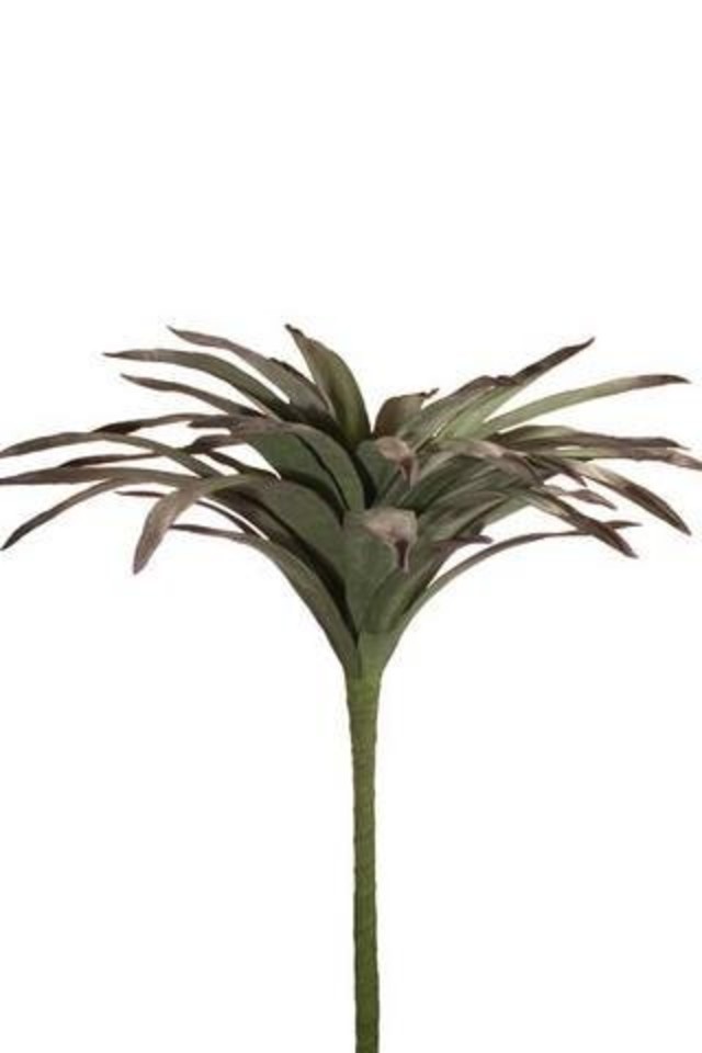 FLAX FLAXES ARTIFICIAL ARTIFICIALS 135CM 135CMS TALL TALLS LARGE LARGES LEAVES LEAFE LEAVE LEAF LEAFS