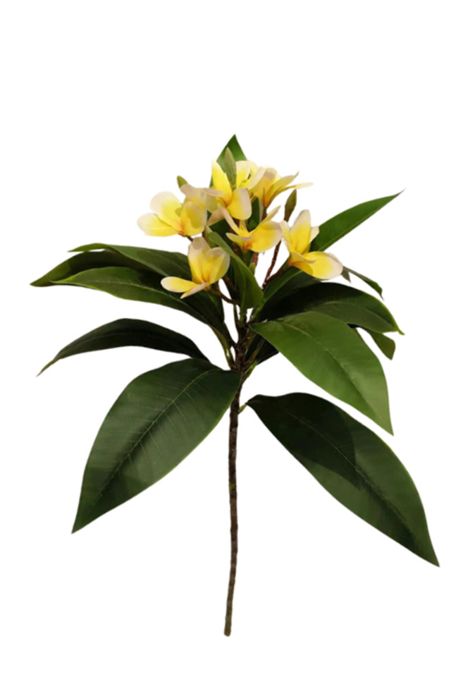 FRANGIPANI FRANGIPANIS LARGE LARGES SPRAY SPRAYS SPRAIE TROPICAL TROPICALS FLOWER FLOWERS ARTIFICIAL ARTIFICIALS LEAF LEAFS WITH WITHS HEADS HEAD