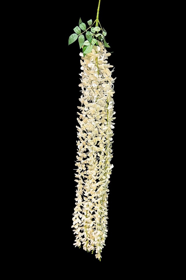 ALMOND ALMONDS BLOSSOM BLOSSOMS GARLAND GARLANDS 155CM 155CMS FLOWER FLOWERS TRAILING TRAILINGS ARTIFIFIAL ARTIFIFIALS