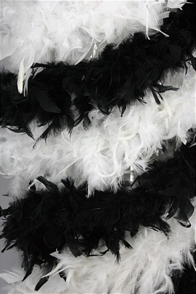 DISPLAY DISPLAYS DISPLAIE WEDDING WEDDINGS FEATHER FEATHERS OSTERICH OSTERICHES TABLE CENTRE CENTRE TABLE CENTRE CENTRES CENTRE CENTRES CENTER PIECE PIECES CHANDELLE CHANDELLES BOA BOAS (60G/2M) (60G/2M)S BRIDE BRIDES BRIDAL BRIDALS G M