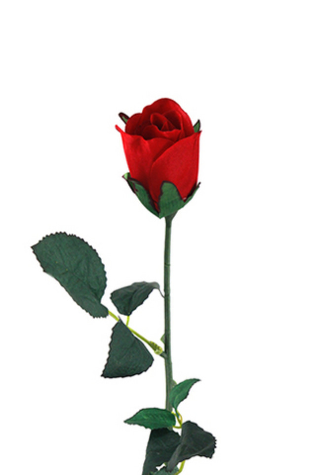 ROSE ROSES BUD BUDS FLOWER FLOWERS (LG) (LG)S ARTIFICIAL ARTIFICIALS VALENTINES VALENTINE LG LGS