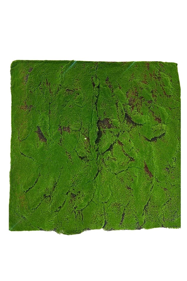 GGREENERY GGREENERIES GGREENERIE ARTIFICIAL ARTIFICIALS FLOWER FLOWERS PANEL PANELS WALL WALLS FLOWER PANEL FLOWER PANELS FLOWER WALL FLOWER WALLS GREEN GREENS LEAF LEAFS LEAVES LEAFE LEAVE GREENERY GREENERIES GREENERIE MOSS MOSSES MOS LUSH LUSHES BASIC BASICS