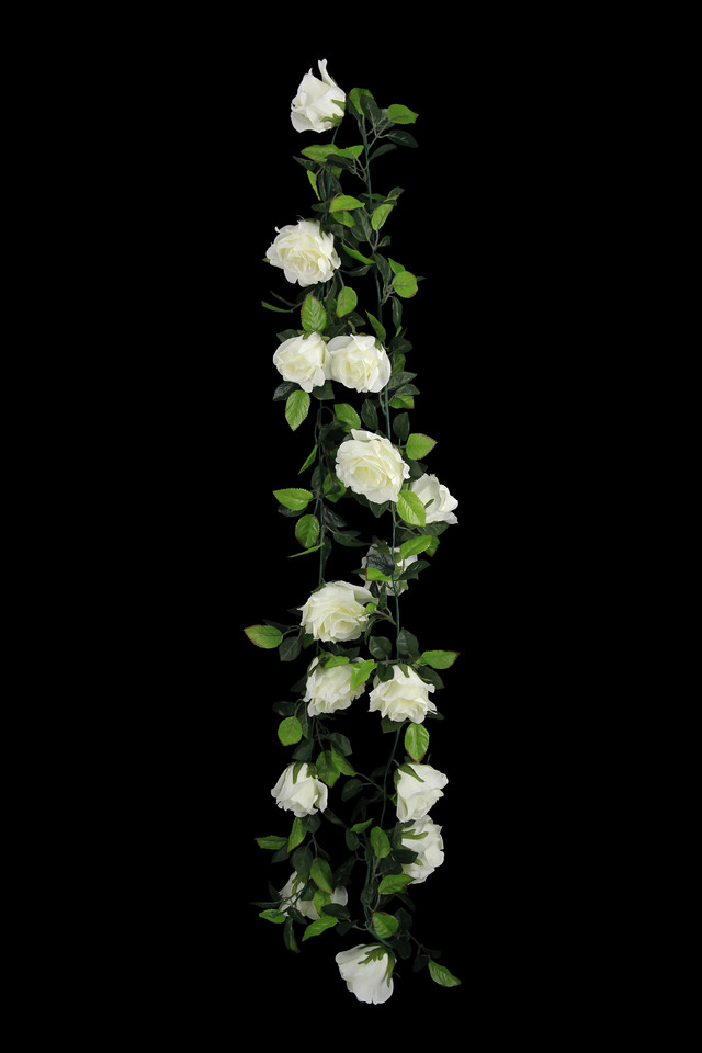 ARTIFICIAL ARTIFICIALS FLOWER FLOWERS PLANT PLANTS SYNTHETIC SYNTHETICS FAKE FAKES SILK SILKS PLASTIC PLASTICS GARLAND GARLANDS STRING STRINGS STRAND STRANDS 180CM 180CMS (162 (162S LEAVES) LEAVES)S GREENERY GREENERIES GREENERIE ROSE ROSES TRAIL TRAILS LEAVES LEAFE LEAVE