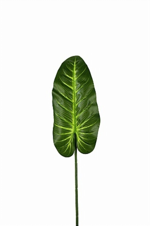 GGREENERY GGREENERIES GGREENERIE LLEAF LLEAFS ARTIFICIAL ARTIFICIALS FLOWER FLOWERS PLANT PLANTS SYNTHETIC SYNTHETICS FAKE FAKES SILK SILKS PLASTIC PLASTICS LEAF LEAFS LEAVE LEAVES LEAFE GREEN GREENS GREENERY GREENERIES GREENERIE FOLIAGE FOLIAGES CALLA CALLAS LILY LILIES LILIE 98CM 98CMS
