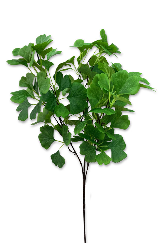 GGREENERY GGREENERIES GGREENERIE ARTIFICIAL ARTIFICIALS FLOWER FLOWERS PLANT PLANTS SYNTHETIC SYNTHETICS FAKE FAKES SILK SILKS PLASTIC PLASTICS LEAF LEAFS LEAVE LEAVES LEAFE GREEN GREENS GREENERY GREENERIES GREENERIE FOLIAGE FOLIAGES FERN FERNS SPRAY SPRAYS SPRAIE GINKGO GINKGOS