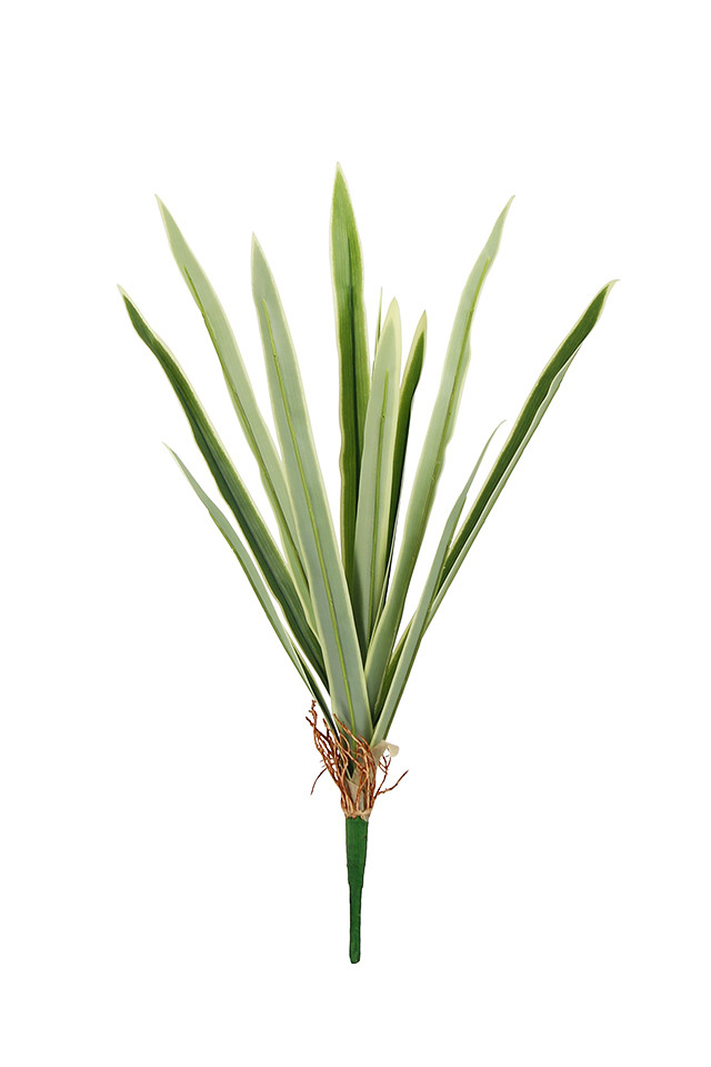 Flax Leaf Spray (White Edge) (12 Leaves) : 51cm - Holstens