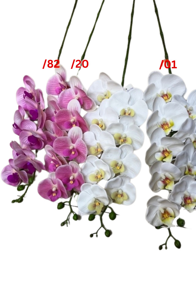 PHALAENOPSIS PHALAENOPSI PHALAENOPSES PHALAENOPSE ORDCHID ORDCHIDS HEADS HEAD BUDS BUD 115CM 115CMS ARTIFICIAL ARTIFICIALS FLOWERS FLOWER ORCHID ORCHIDS Mulberry pink purple   Dark Pink dark pink   Orchid pink purple fuchsia  Violet purple dark   Purple violet   White white creamy bridal   Pink blush  