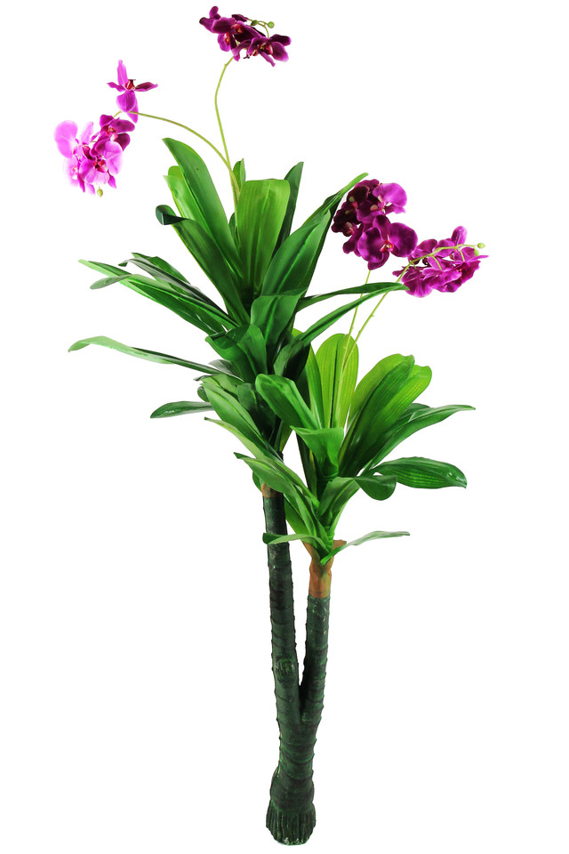 ARTIFICIAL ARTIFICIALS FLOWER FLOWERS PLANT PLANTS SYNTHETIC SYNTHETICS FAKE FAKES SILK SILKS PLASTIC PLASTICS ORCHID ORCHIDS TREE TREES 192CM 192CMS