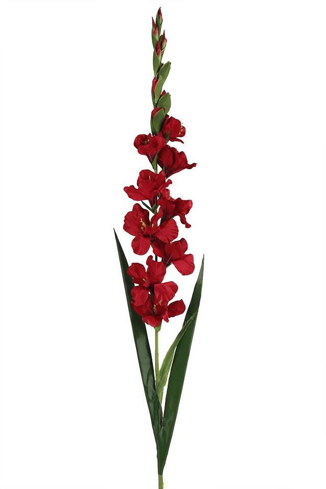 GLADY GLADIES GLADIE GLADIOLI GLADIOLIS FLOWER FLOWERS ARTIFICIAL ARTIFICIALS HEAD HEADS BUDS BUD
