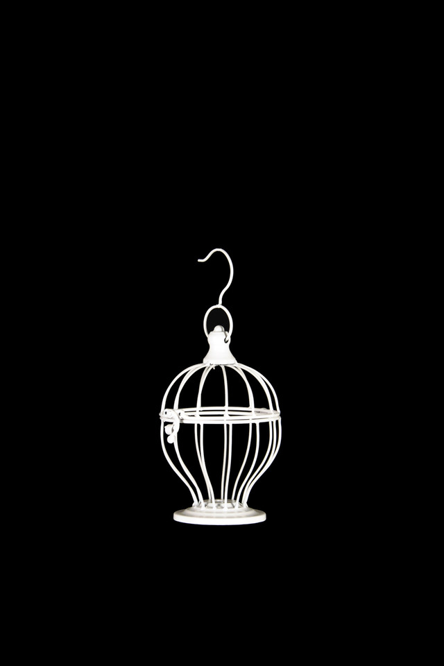 BIRD BIRDS CAGE CAGES PARTY PARTIES PARTIE TABLE CENTRE TABLE CENTRES CENTRE CENTRES CENTER PIECE PIECES EVENT EVENTS RECEPTION RECEPTIONS FUNCTION FUNCTIONS WEDDING WEDDINGS OUT OUTS DOOR DOORS FURNITURE FURNITURES LANTERN LANTERNS BRIDE BRIDES BRIDAL BRIDALS LLANTERN LLANTERNS MINI MINIS CURVE CURVES CURF