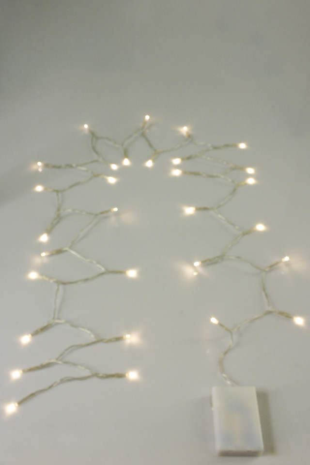 LIGHT LIGHTS LIGHTING LIGHTINGS PARTY PARTIES PARTIE RECEPTION RECEPTIONS FUNCTION FUNCTIONS WEDDING WEDDINGS EVENT EVENTS BATTERY BATTERIES BATTERIE STRAND STRANDS STRING STRINGS LED LEDS OPERATED OPERATEDS FAIRY FAIRIES FAIRIE OCTOPUS OCTOPI OCTOPU 3MM 3MMS 3XAA 3XAAS 320CM 320CMS (WARM (WARMS WHITE) WHITE)S (E) (E)S BRIDE BRIDES BRIDAL BRIDALS WARM WARMS WHITE WHITES